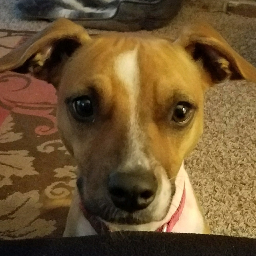 Meet your Posher, Stephanie